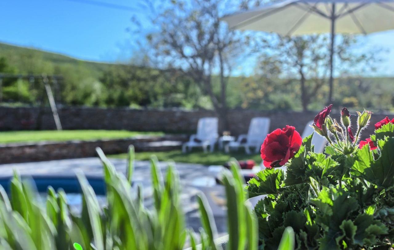 Hostal Dalmatia Stone House - Heated Pool Biorine Exterior foto